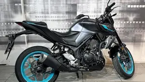 Yamaha MT-03 (2022 - 24)  (8)