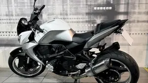 Kawasaki Z 1000 (2007 - 09)  (2)