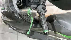 Kawasaki J 300 ABS (2014 - 16)  (9)