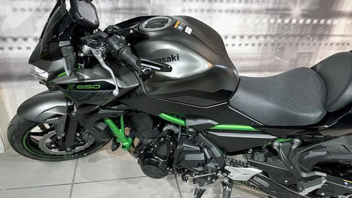Kawasaki Z 650 (2021 - 24)  (9)