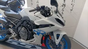 Suzuki GSX-8R (2024 - 26)  (2)