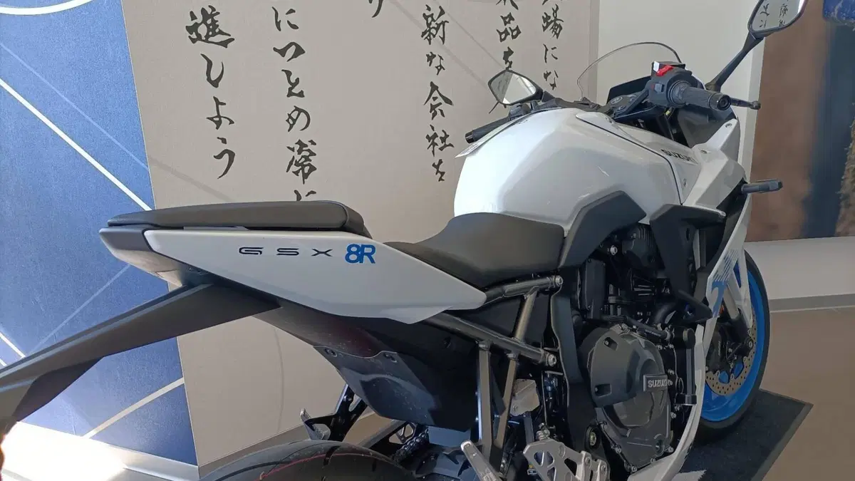 Suzuki GSX-8R (2024 - 26)  (3)