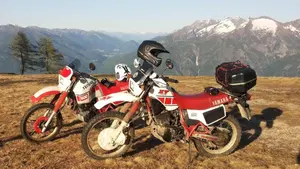 Yamaha XT 600 (1984 - 98)  (2)
