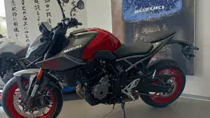 Suzuki GSX-8S (2025 - 26)  (2)