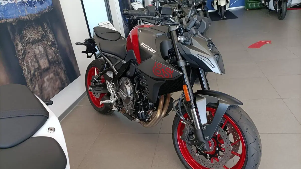 Suzuki GSX-8S (2025 - 26)  (3)