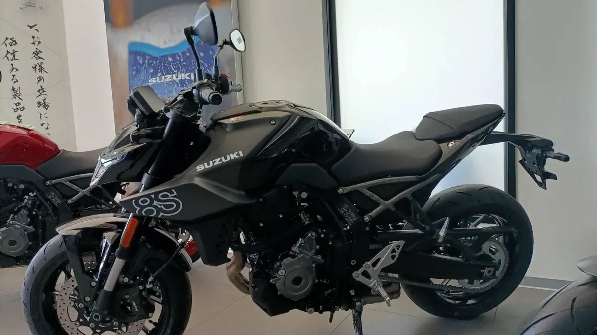 Suzuki GSX-8S (2025 - 26)  (7)