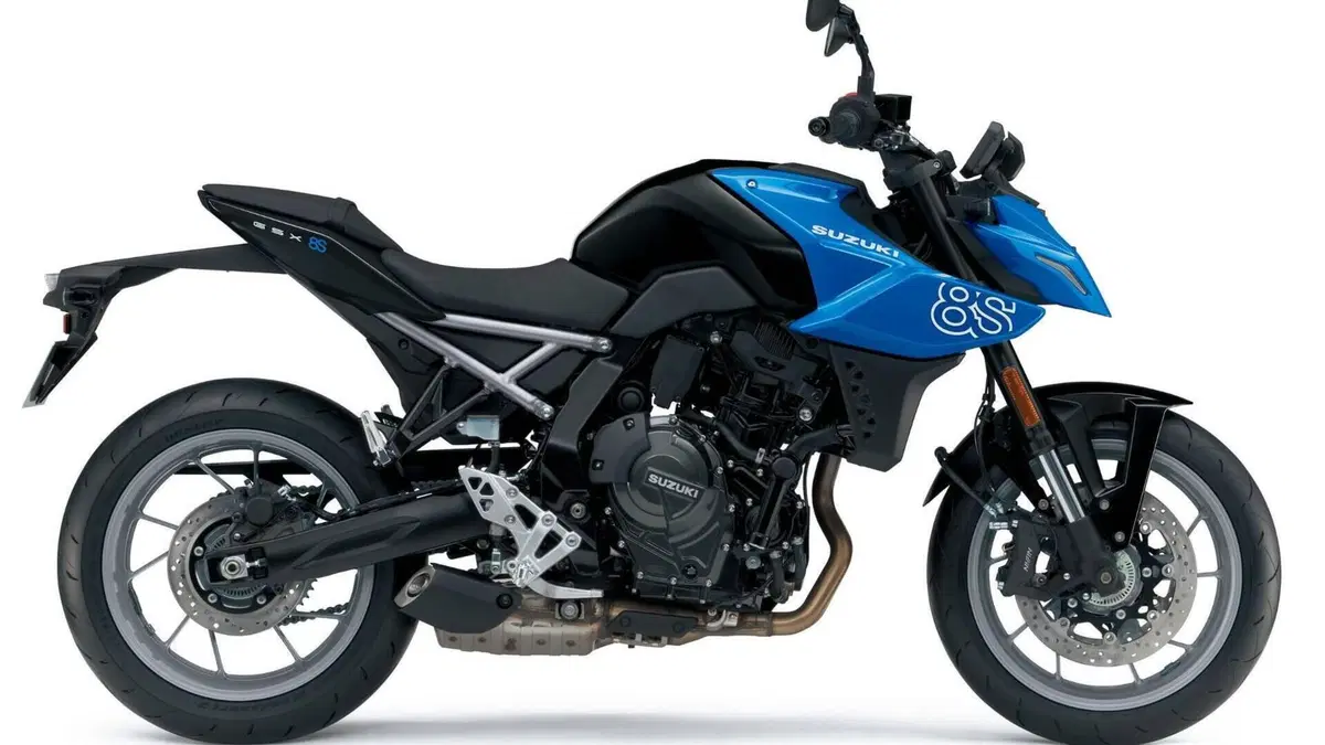 Suzuki GSX-8S (2025 - 26)  (8)