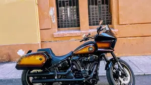 Harley-Davidson Low Rider ST (2022 - 24)  (2)