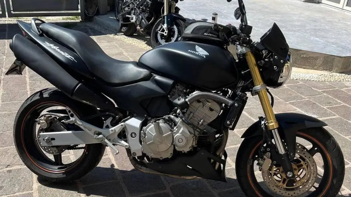 Honda Hornet 600 (2007 - 10)  (2)