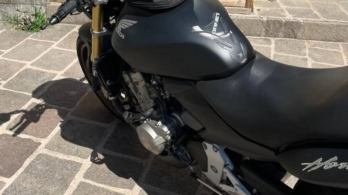 Honda Hornet 600 (2007 - 10)  (5)