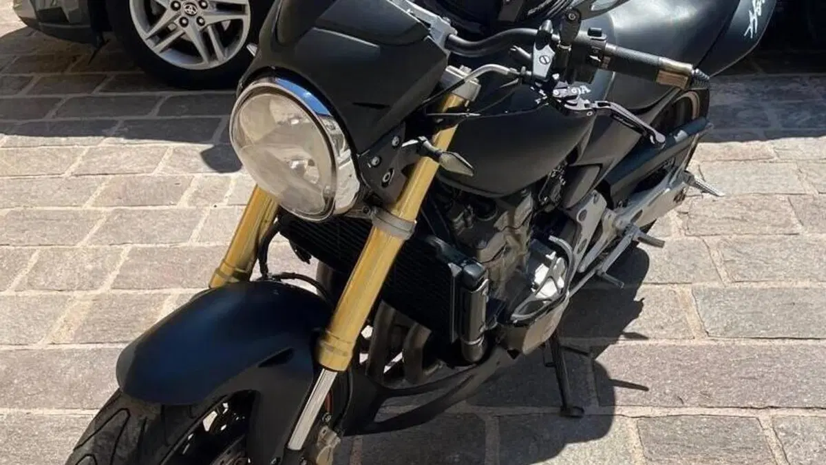 Honda Hornet 600 (2007 - 10)  (7)