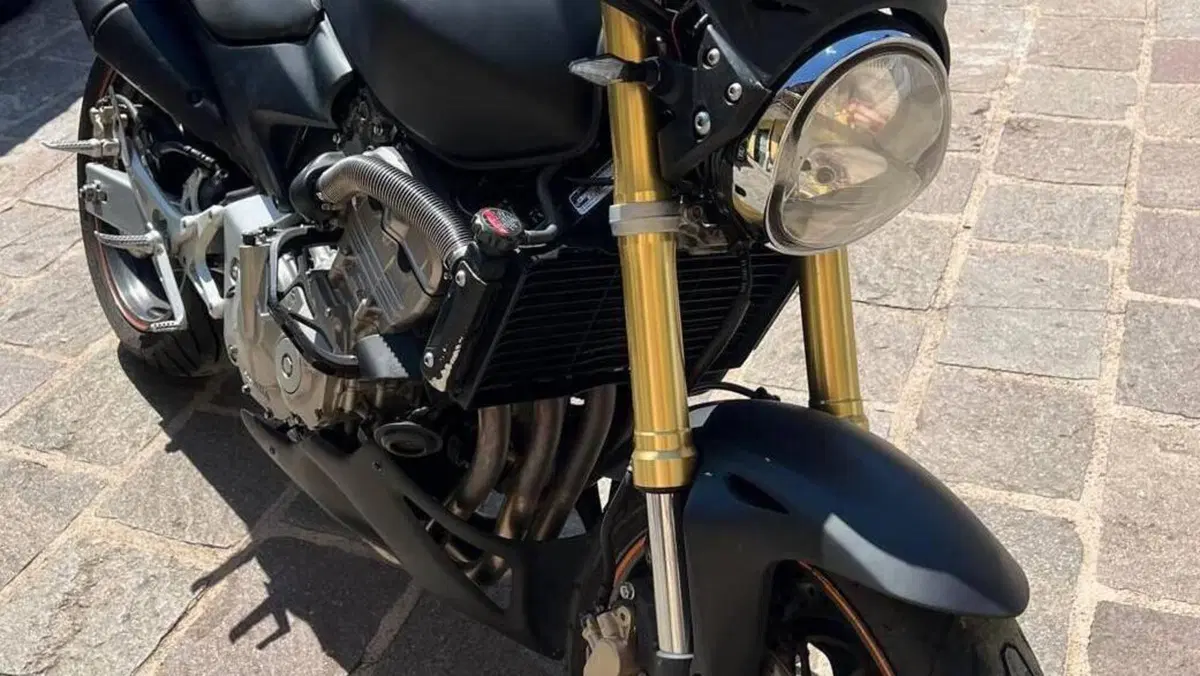 Honda Hornet 600 (2007 - 10)  (9)