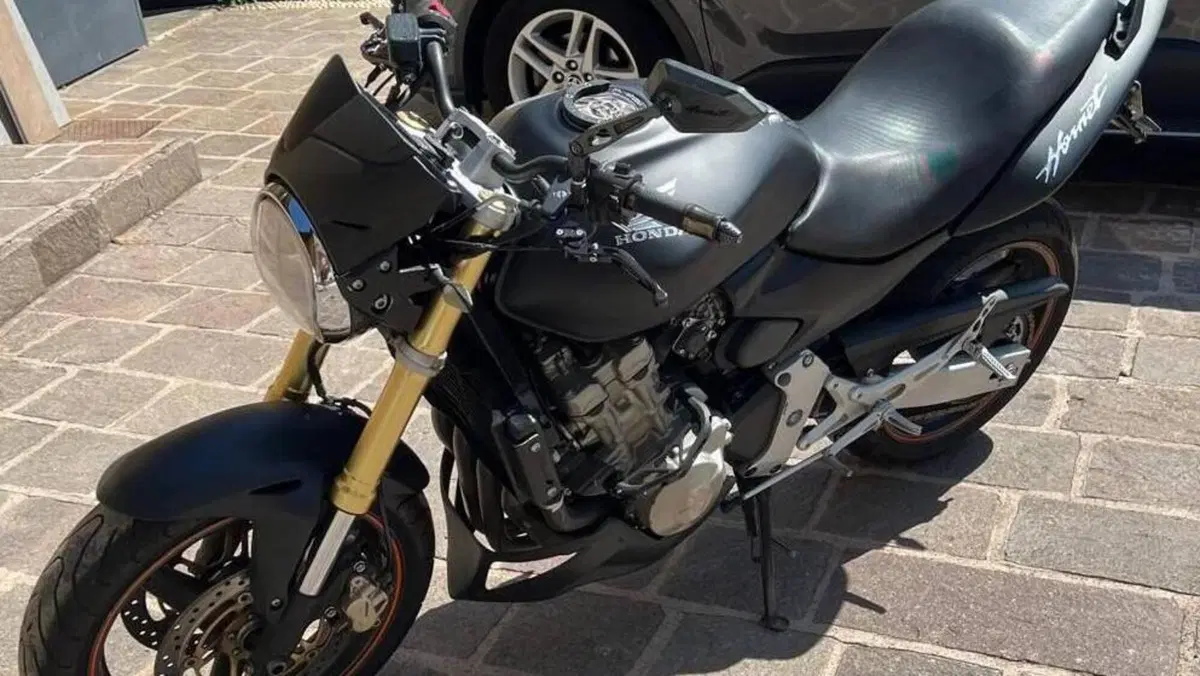 Honda Hornet 600 (2007 - 10)  (10)