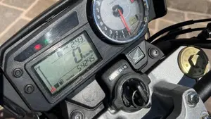 Honda Hornet 600 (2007 - 10)  (12)