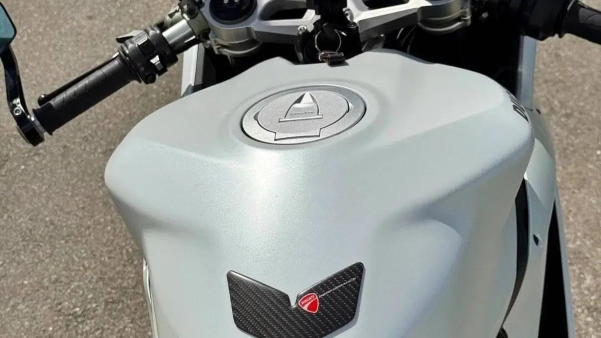 Ducati 959 Panigale (2016 - 19)  (7)