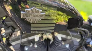 Harley-Davidson 1200 Forty-Eight (2016 - 20)  (3)