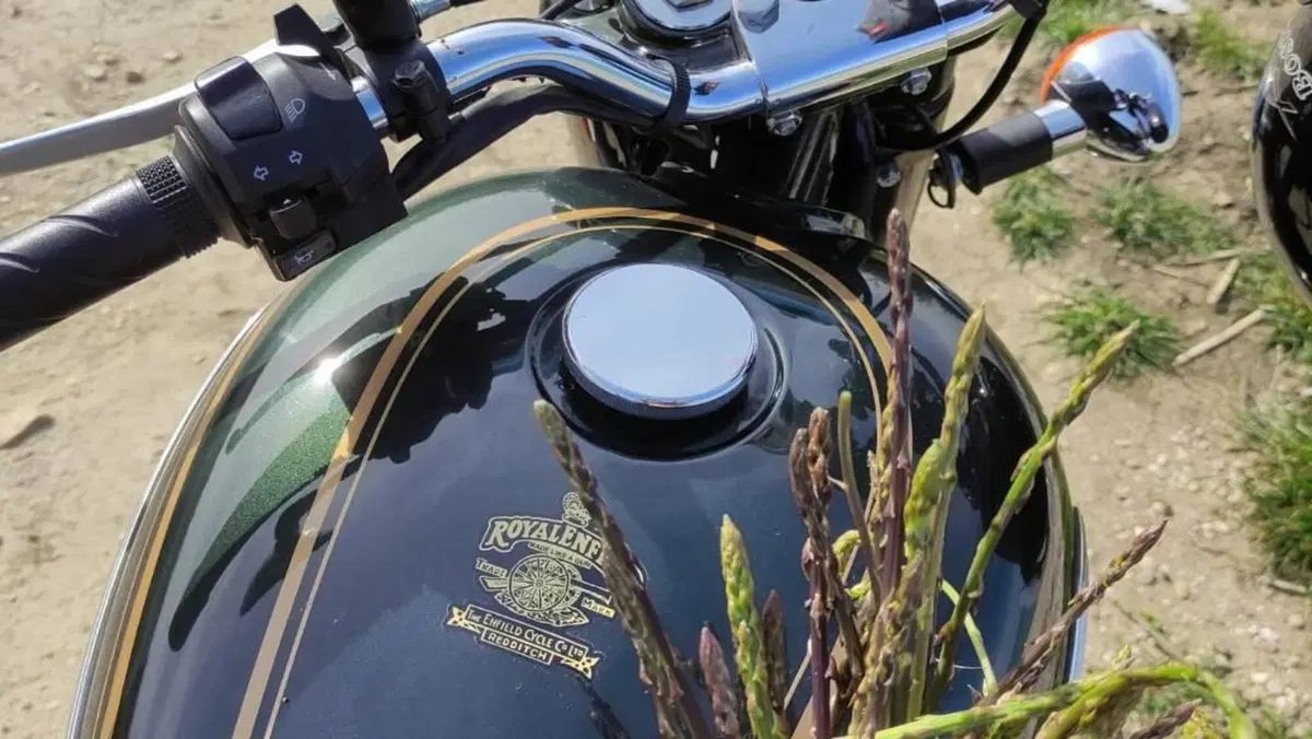Royal Enfield Bullet 500 EFI STD - Entry Level (2017 - 20)  (9)