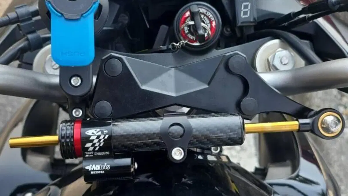 Kawasaki Z 1000 (2007 - 09)  (5)
