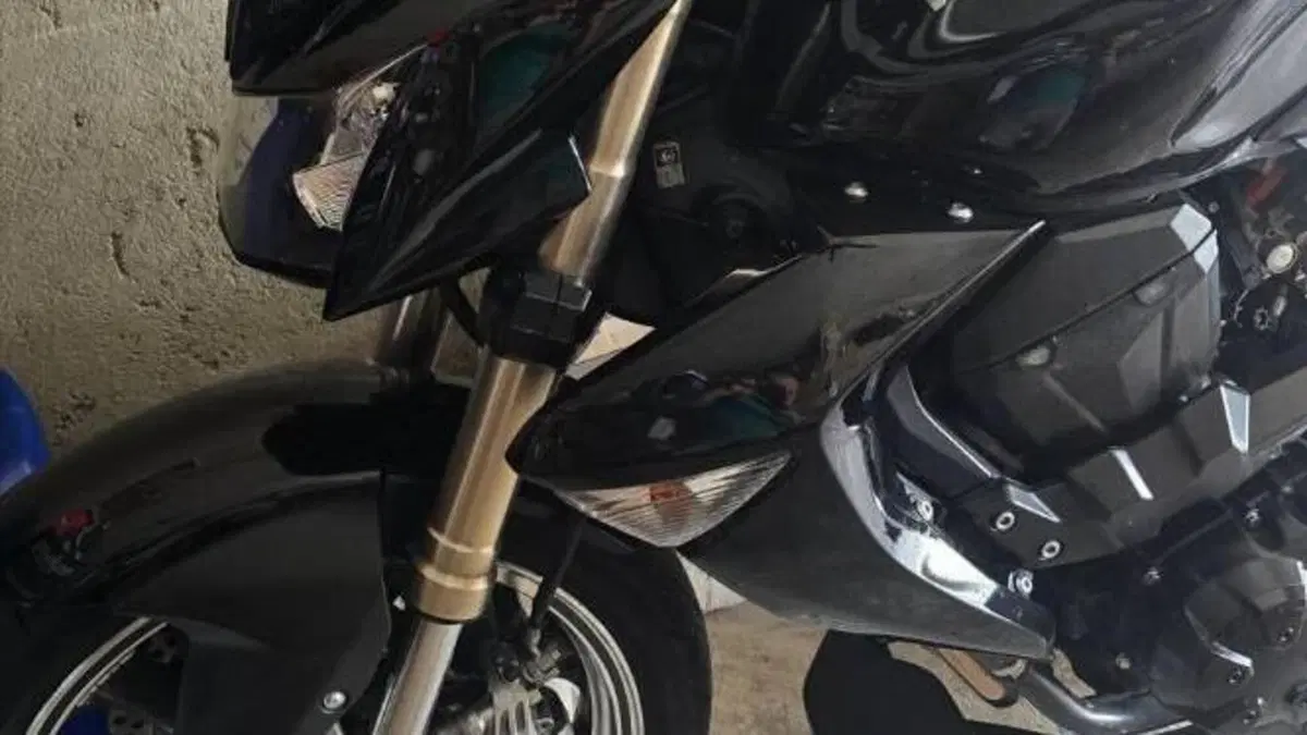 Kawasaki Z 1000 (2007 - 09)  (9)
