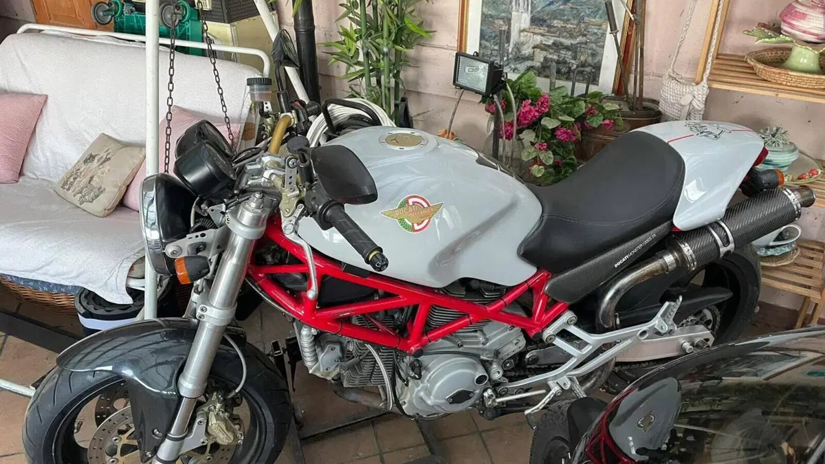 Ducati Monster 1000 DS (2003 - 05)  (2)