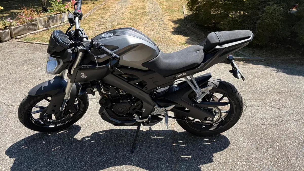 Yamaha MT-125 ABS (2015 - 16)  (3)