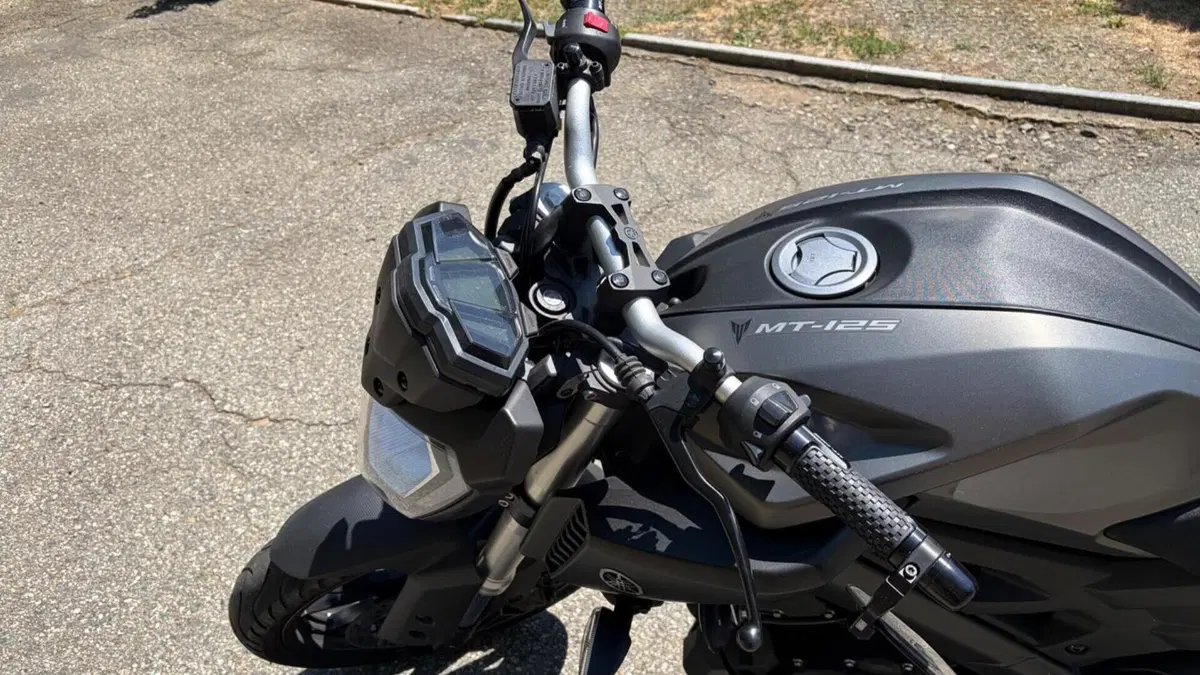 Yamaha MT-125 ABS (2015 - 16)  (5)