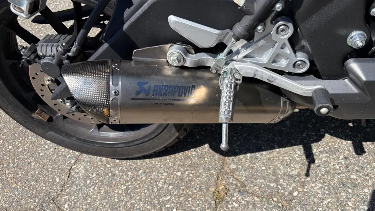 Yamaha MT-125 ABS (2015 - 16)  (8)