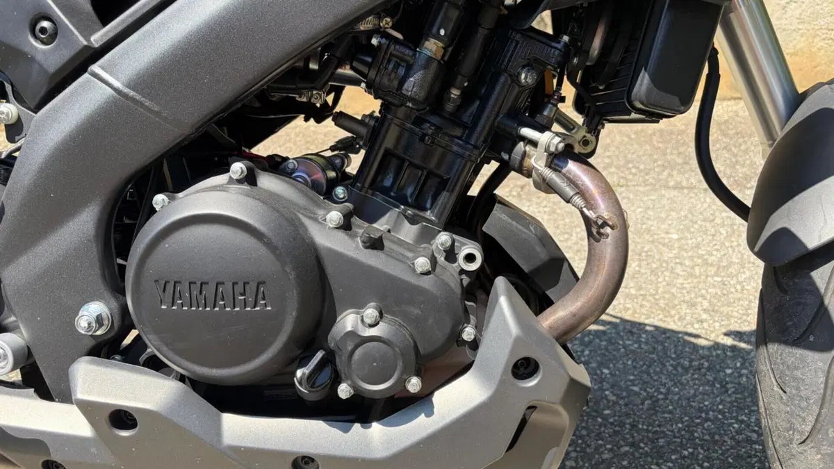 Yamaha MT-125 ABS (2015 - 16)  (11)