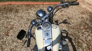 Harley-Davidson   (3)