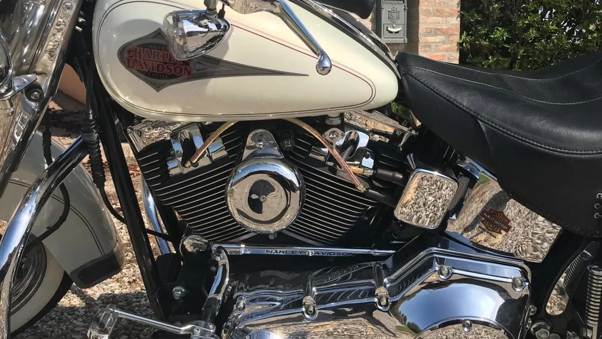 Harley-Davidson   (4)