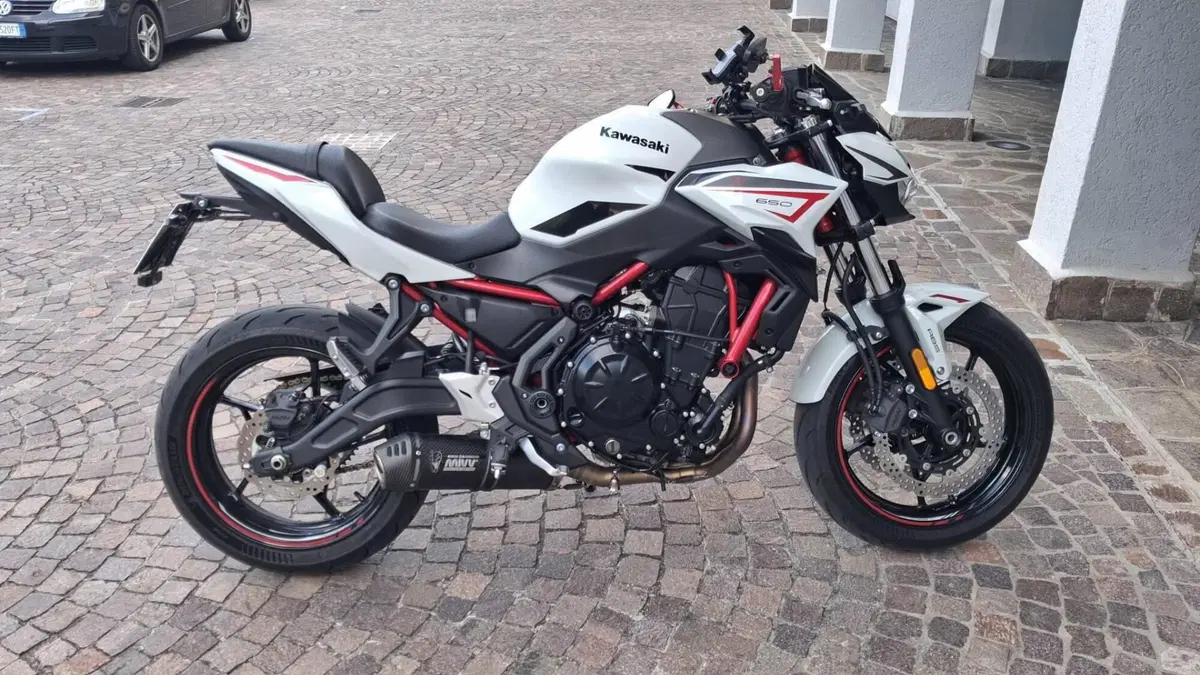 Kawasaki Z 650 (2021 - 24) 