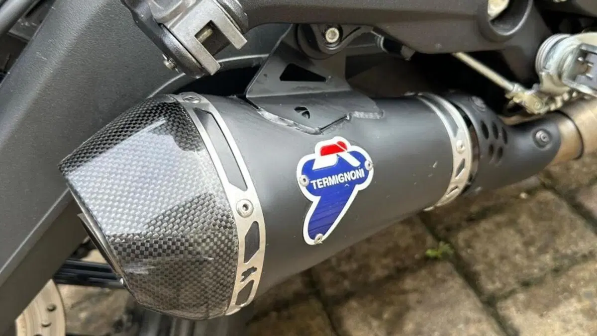 Ducati Scrambler 800 Icon (2017 - 20)  (7)