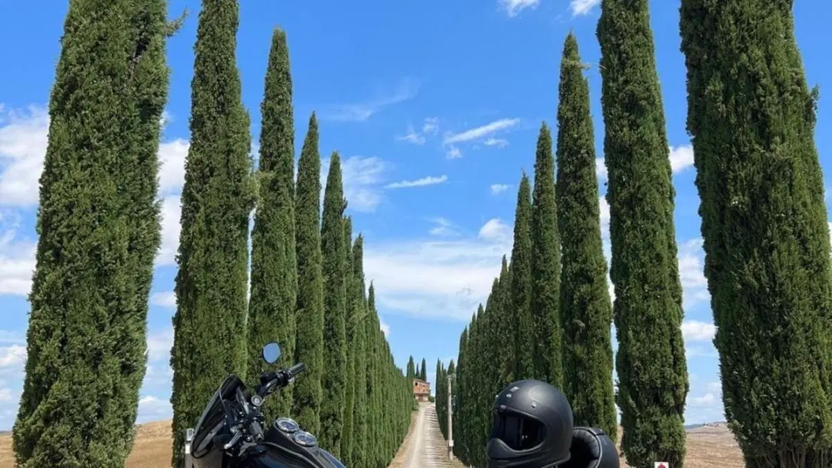 Harley-Davidson 114 Low Rider S (2020) - FXLRS 