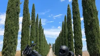 Harley-Davidson 114 Low Rider S (2020) - FXLRS