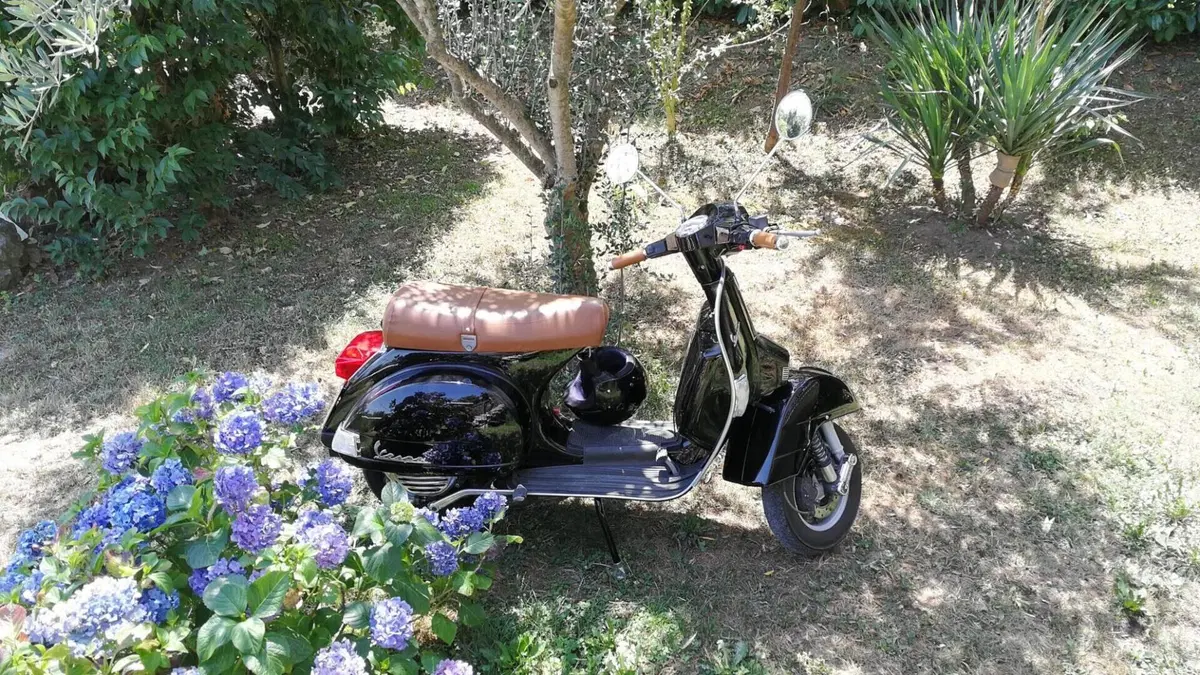 Vespa   (2)