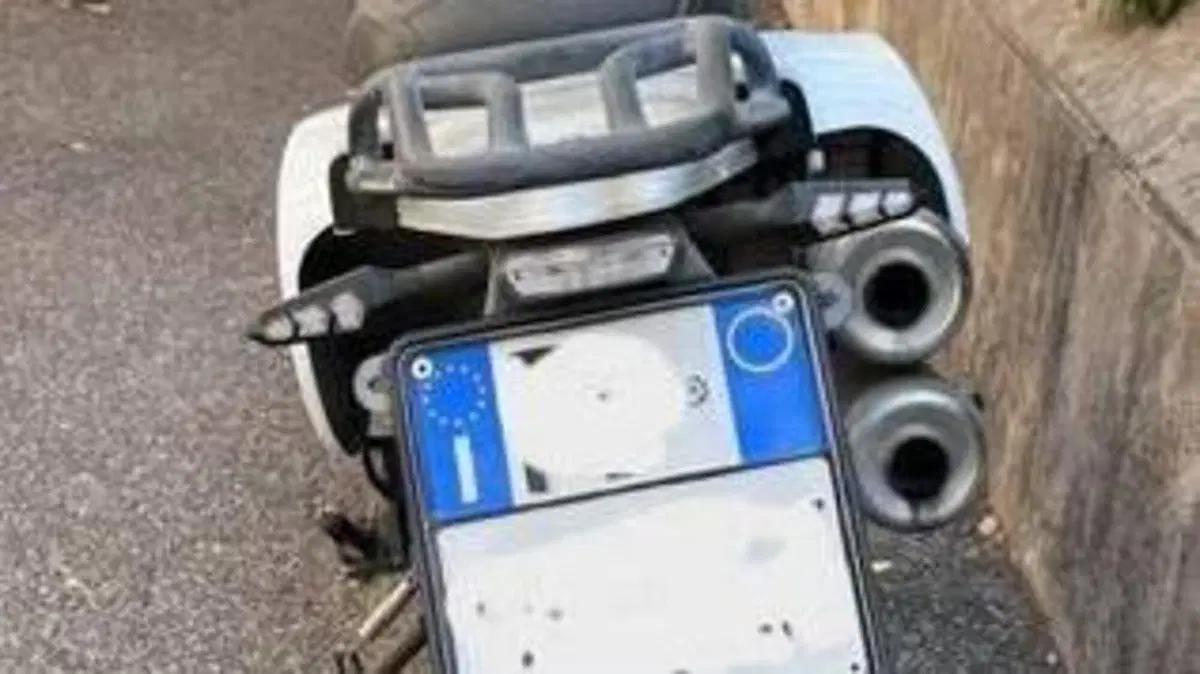 Mash Italia X-Ride 650 (2021 - 25)  (8)