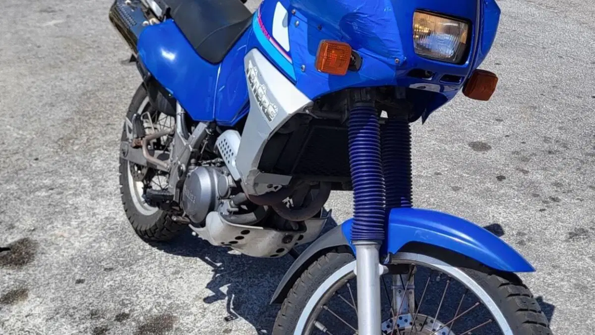 Yamaha   (13)