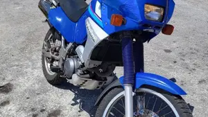 Yamaha   (13)