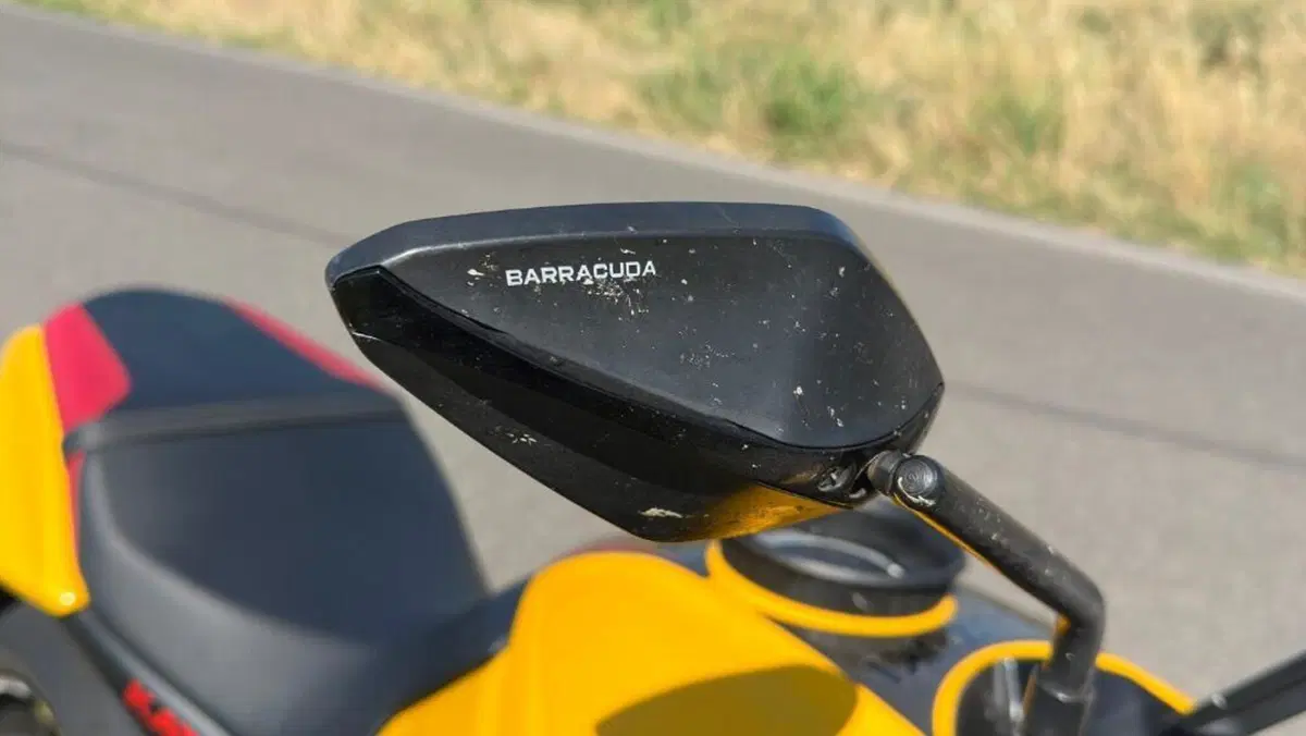 Suzuki Katana 1000 Jindachi (2019 - 20)  (13)