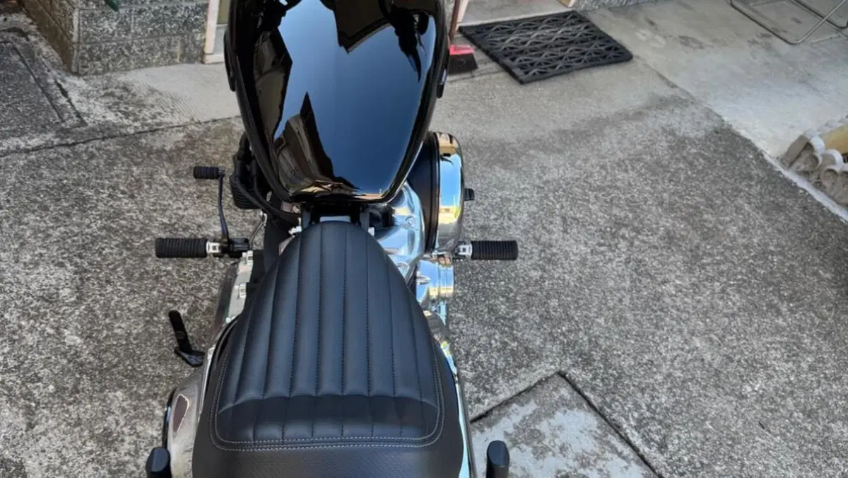 Harley-Davidson Street Bob 117 (2025 - 26)  (5)