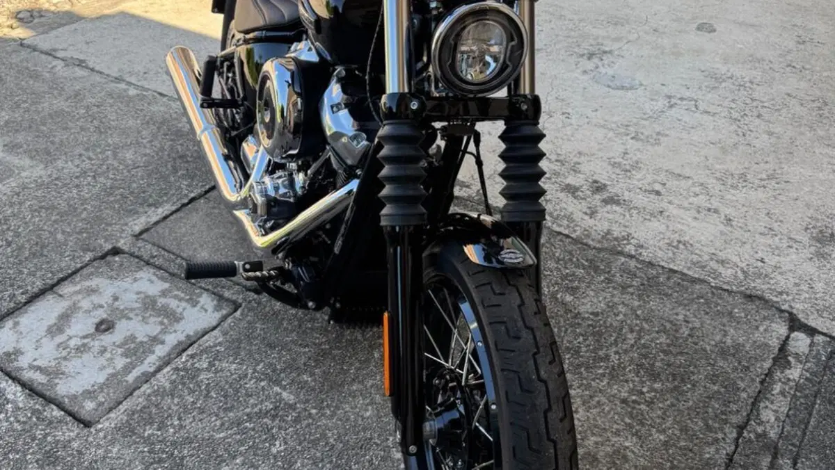 Harley-Davidson Street Bob 117 (2025 - 26)  (3)