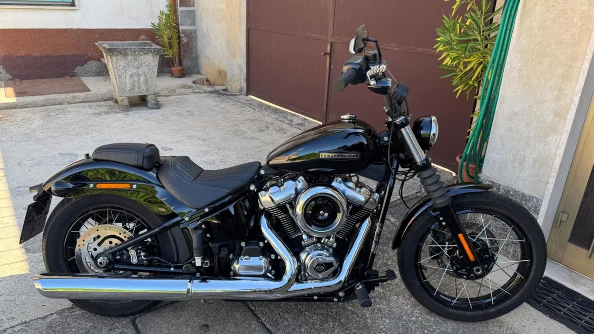 Harley-Davidson Street Bob 117 (2025 - 26)  (2)
