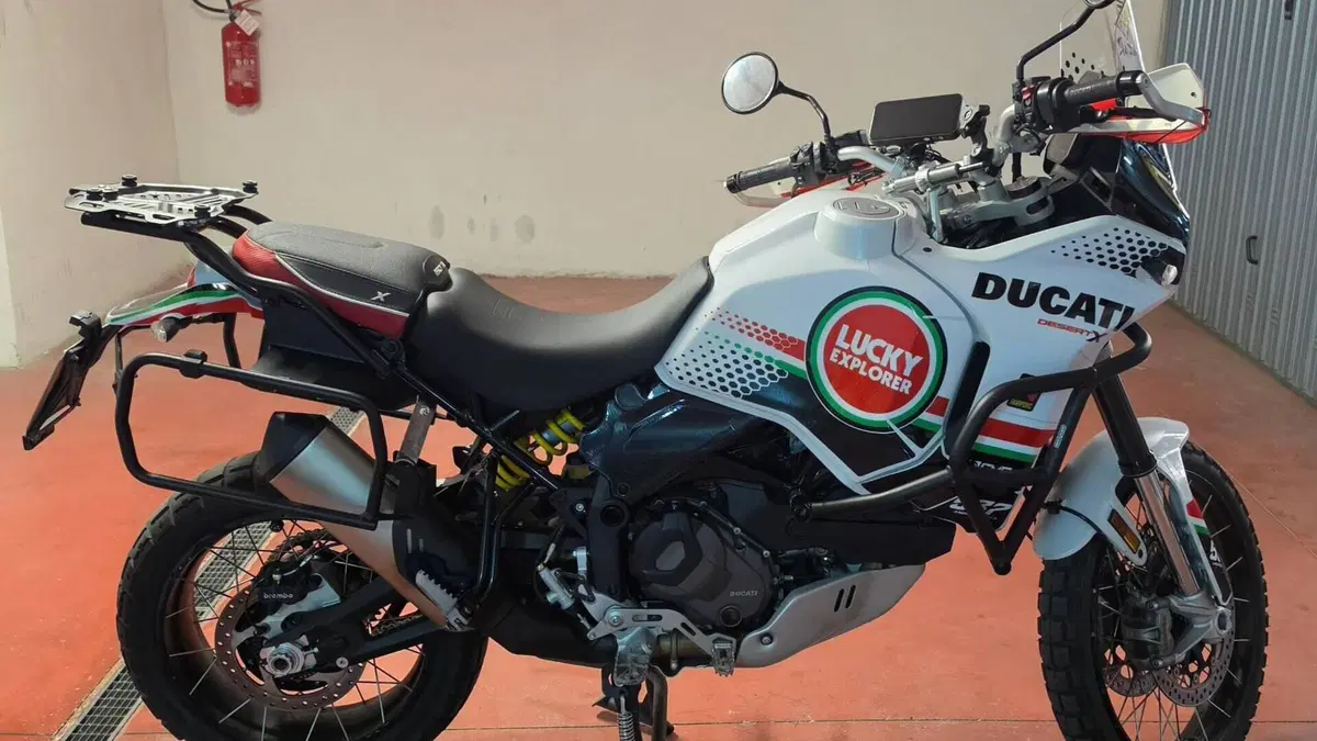 Ducati DesertX (2022 - 25)  (2)