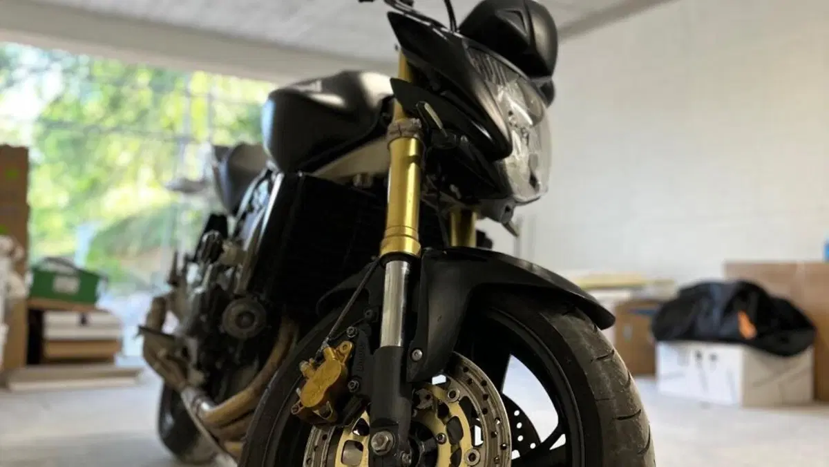 Honda Hornet 600 (2007 - 10)  (6)