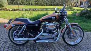 Harley-Davidson 1200 Custom (2007 - 13) - XL 1200C 