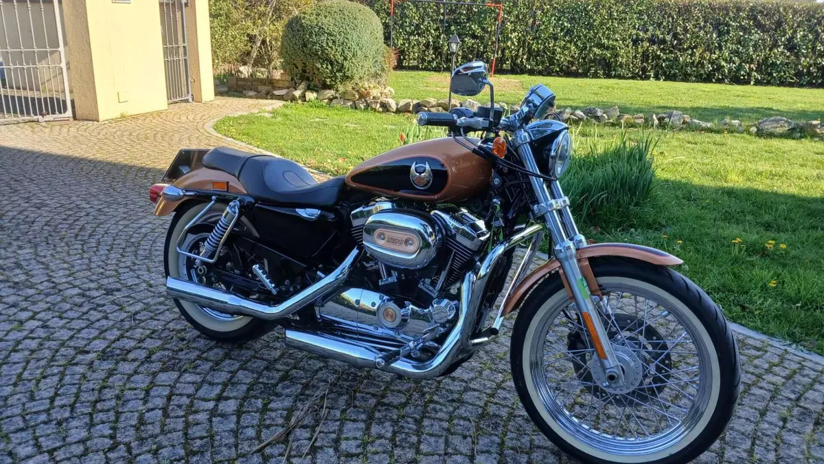 Harley-Davidson 1200 Custom (2007 - 13) - XL 1200C  (2)