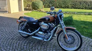Harley-Davidson 1200 Custom (2007 - 13) - XL 1200C  (2)