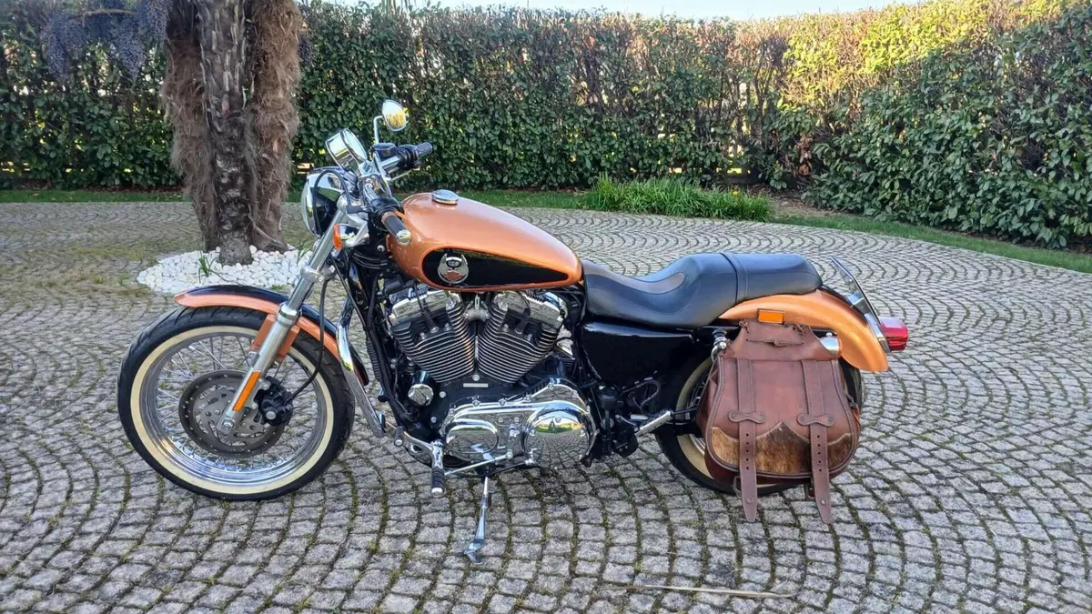 Harley-Davidson 1200 Custom (2007 - 13) - XL 1200C  (3)