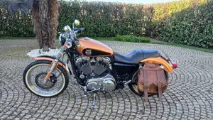 Harley-Davidson 1200 Custom (2007 - 13) - XL 1200C  (3)
