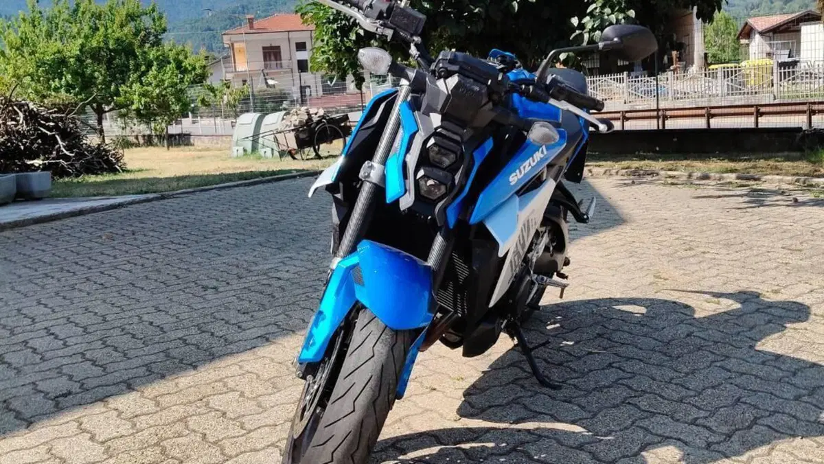 Suzuki GSX-S950 (2021 - 23)  (2)